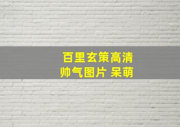 百里玄策高清帅气图片 呆萌